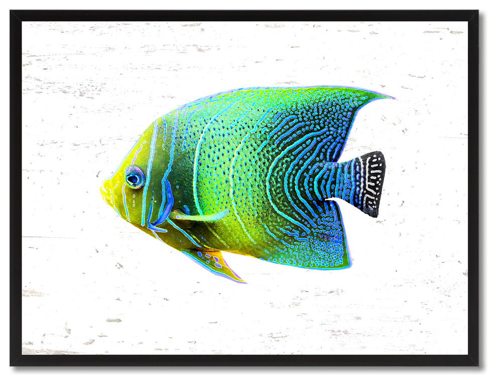 Aqua Tropical Fish Painting, 28"x37"