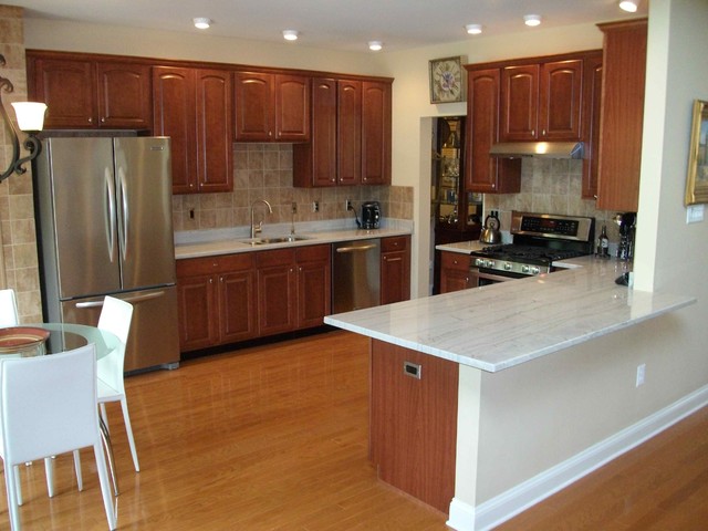 White Macaubas Quartzite Traditional Kitchen Philadelphia