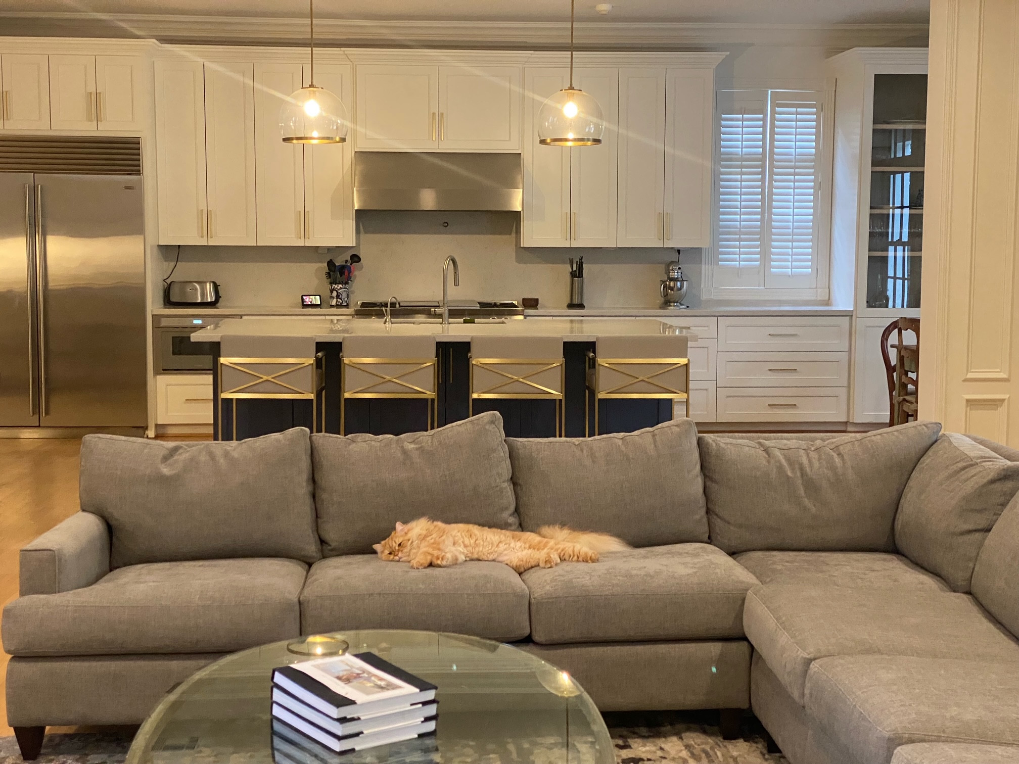 Contemporary Royden Oaks  Kitchen Remodel