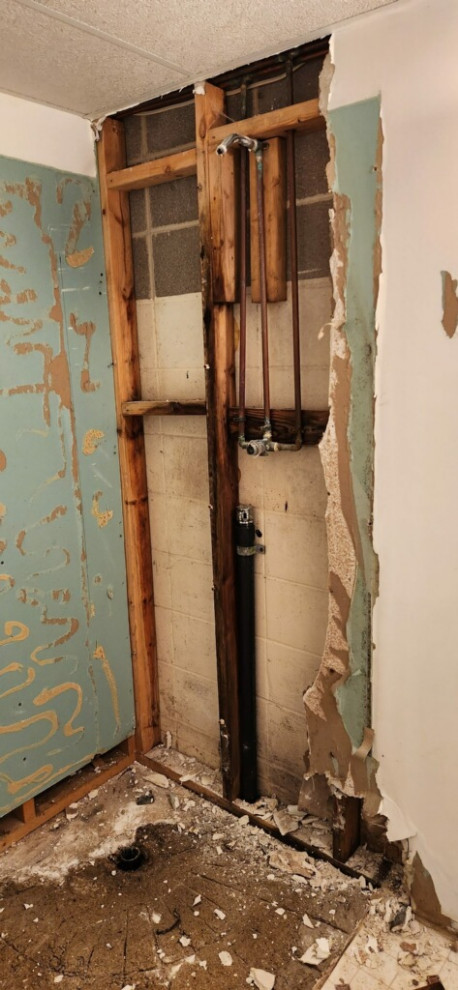 Basement Bathroom