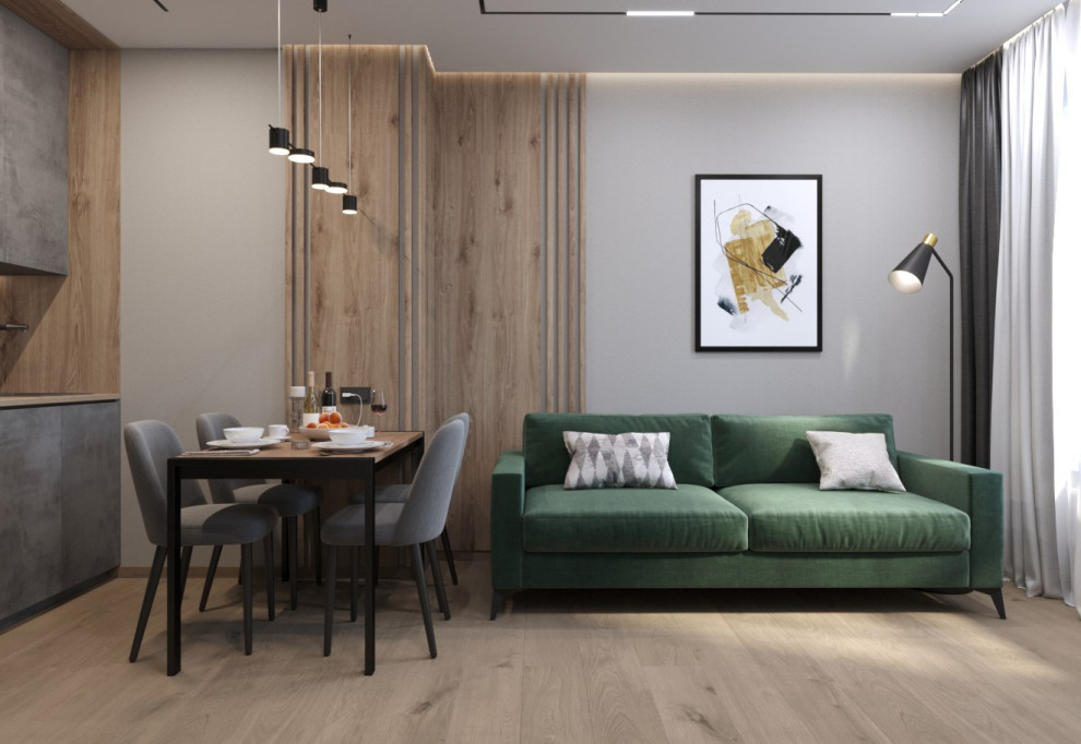 Кухня-гостиная