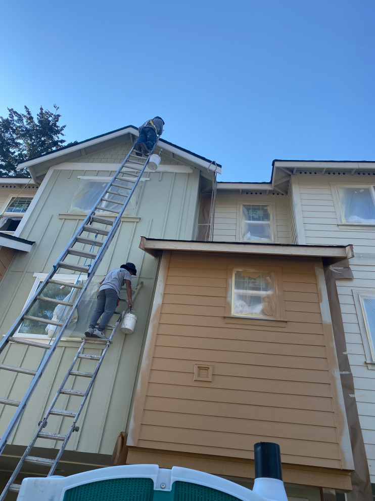 Exterior House Paintings, Misc.
