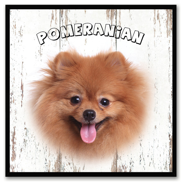 Pomeranian Dog Canvas Print, 7"x7"