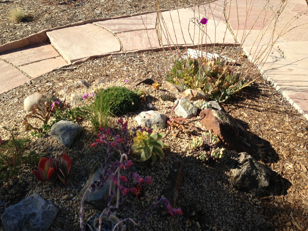 This is an example of a transitional garden in San Francisco.