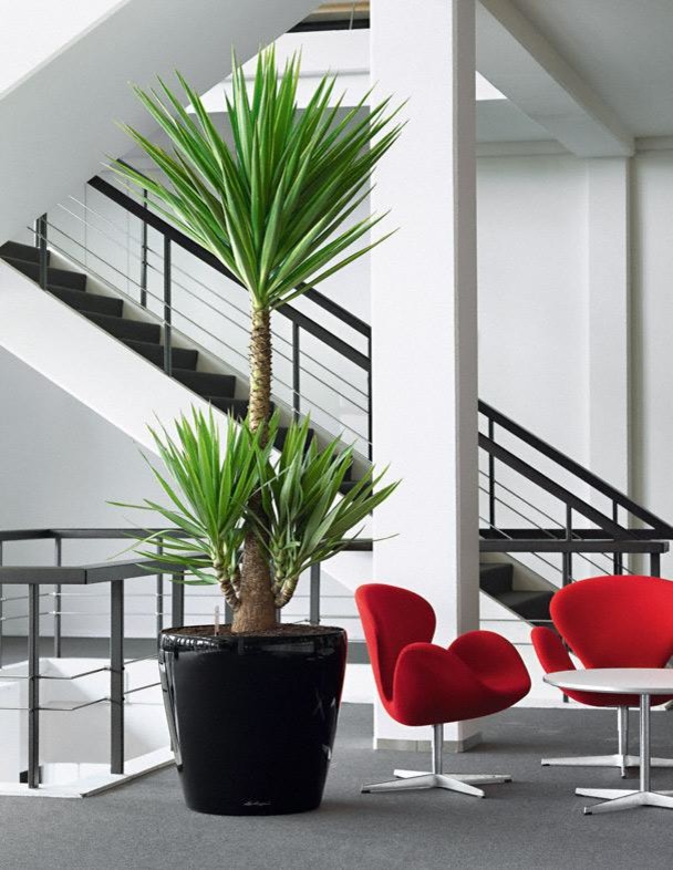 Неподвласные времени