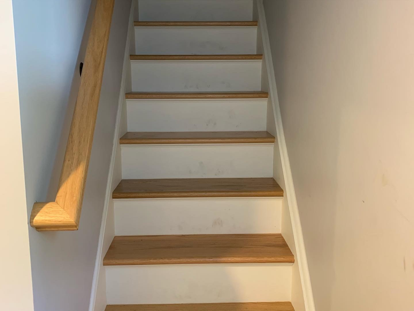 Brand New Basement Build Out
