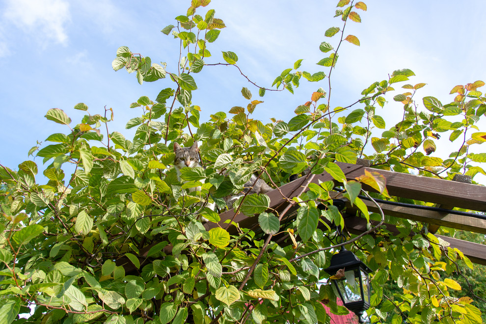 Участок в Ломоносовском районе Ленобласти