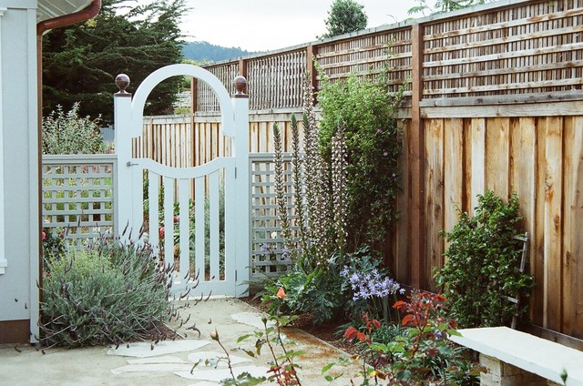 Carmel contemporary