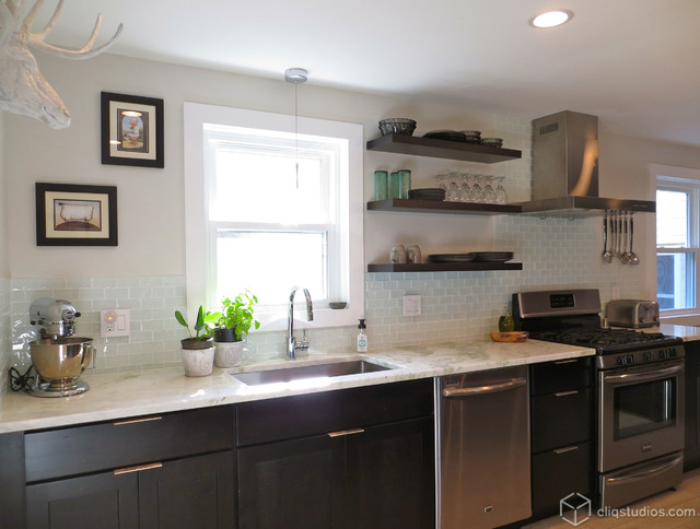 Modern Birch Sable Kitchen Update transitional-kitchen