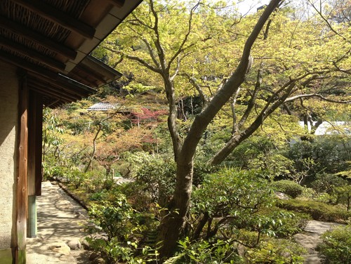 日本家屋の特徴とは？ 伝統的な日本建築に見られる12の特徴  Houzz 