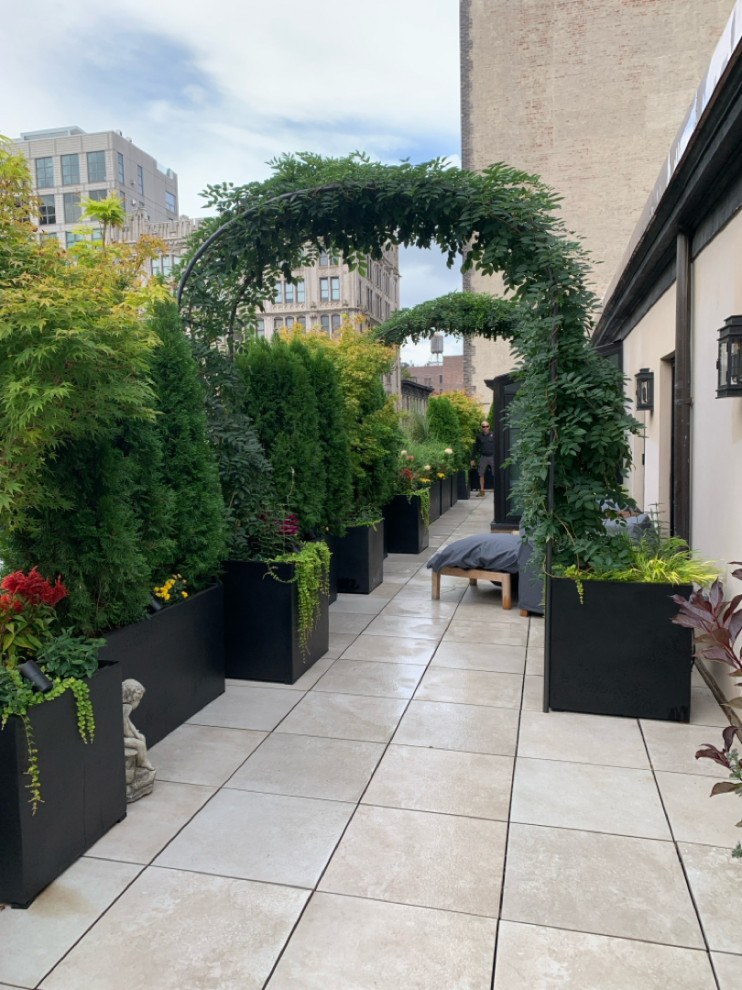 Inspiration for a mid-sized contemporary balcony container garden remodel in New York