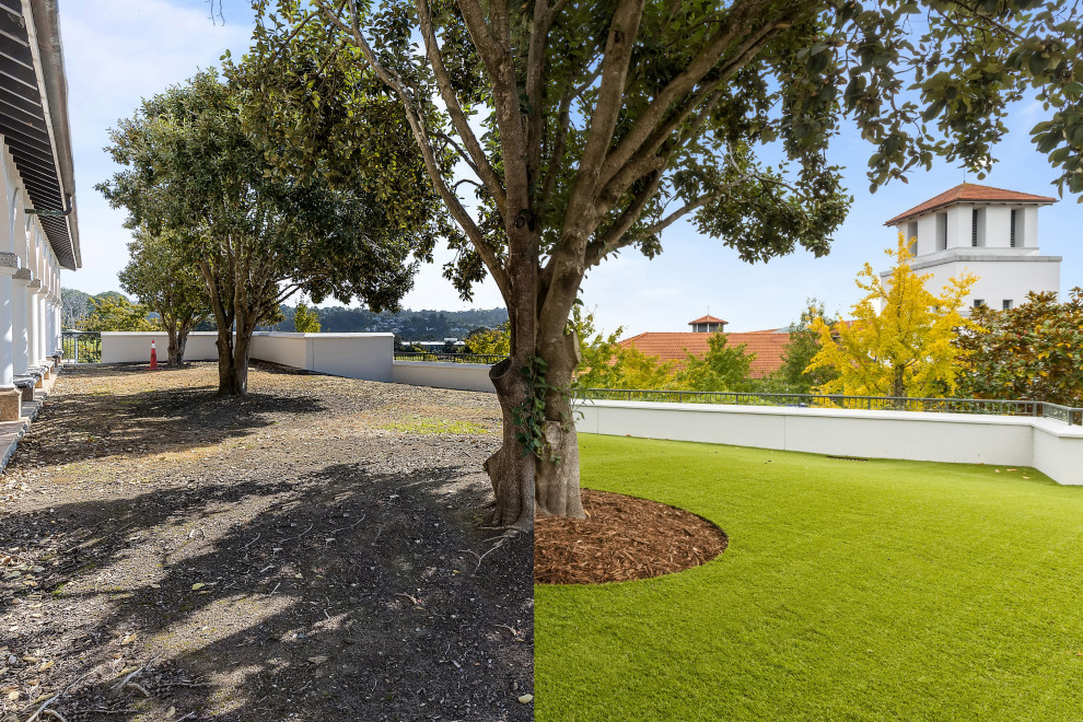 Design ideas for an expansive modern sloped full sun xeriscape for summer in Auckland with with lawn edging.