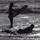 susan_lier