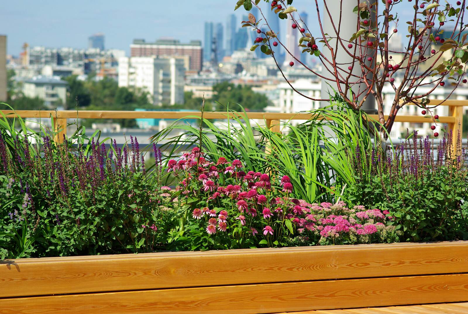 Яндекс.Такси