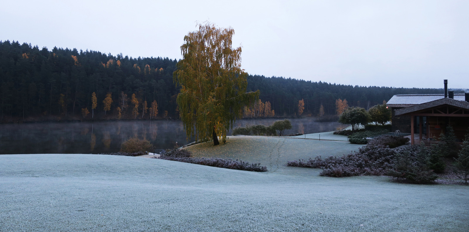Новый пейзаж