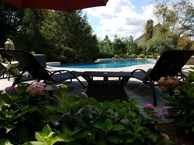 Backyard Oasis traditional-swimming-pool-and-hot-tub