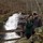 kelly_godsey