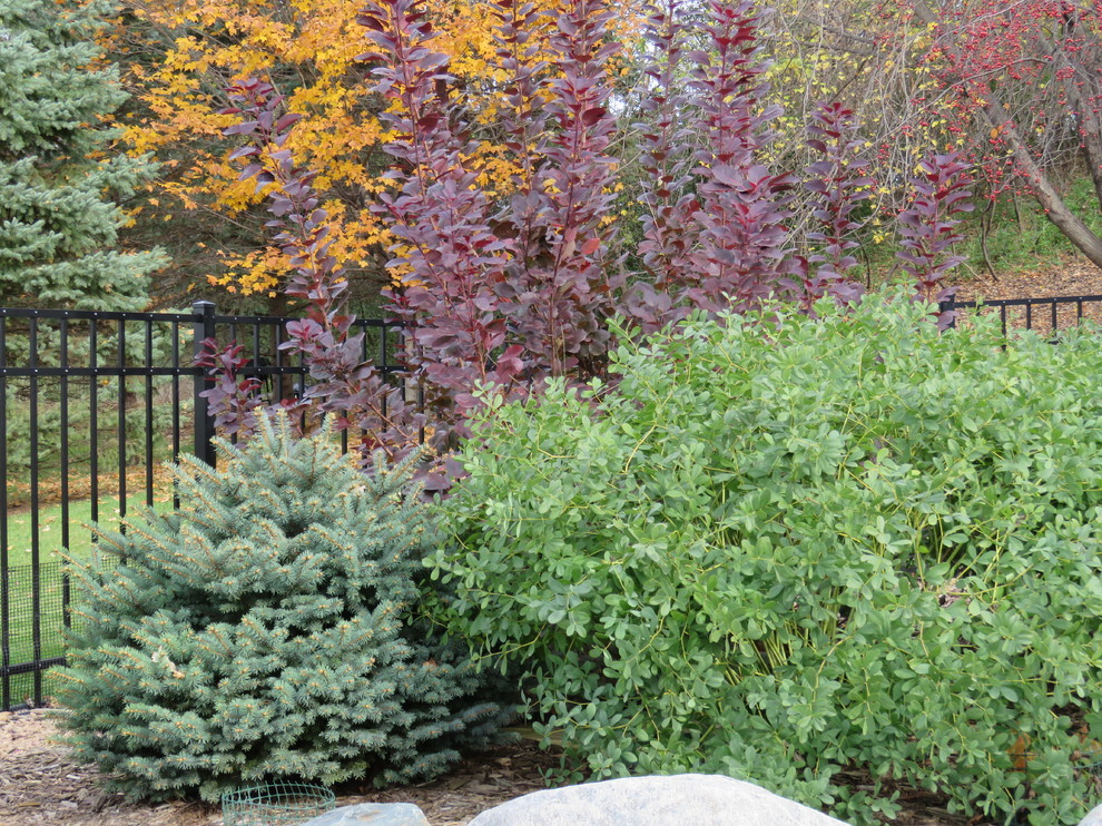 Eden Prairie Kitchen and Fireplace