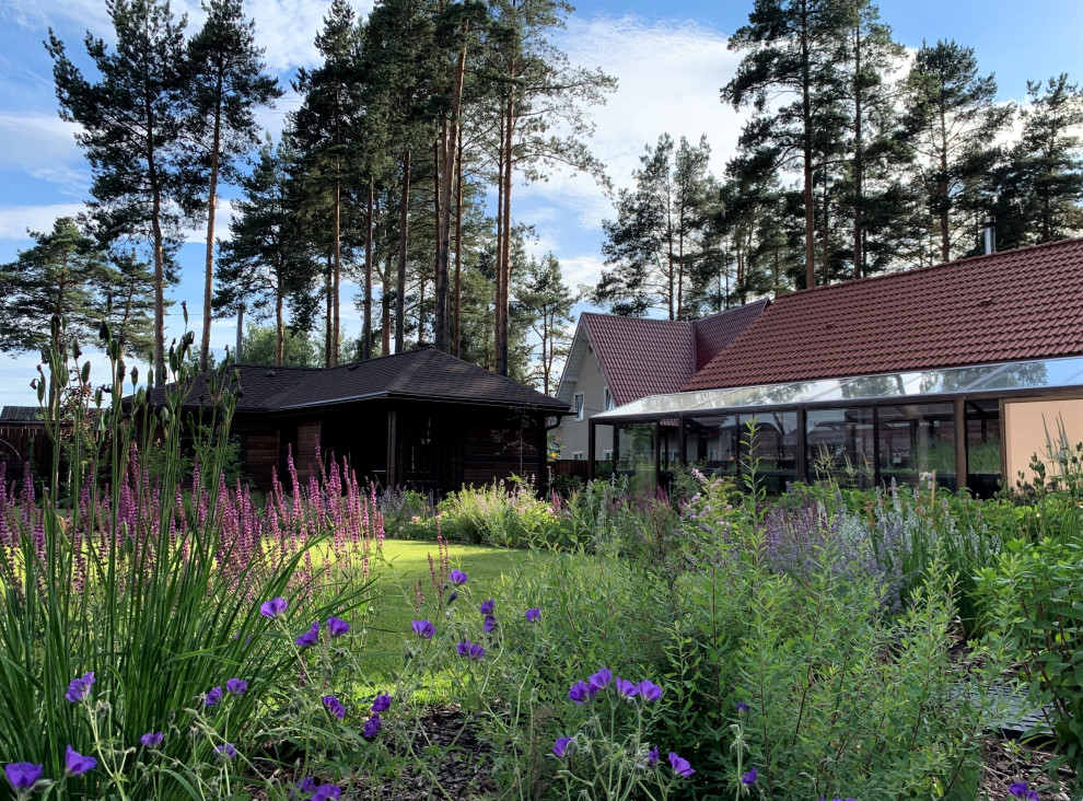 На солнечной поляне