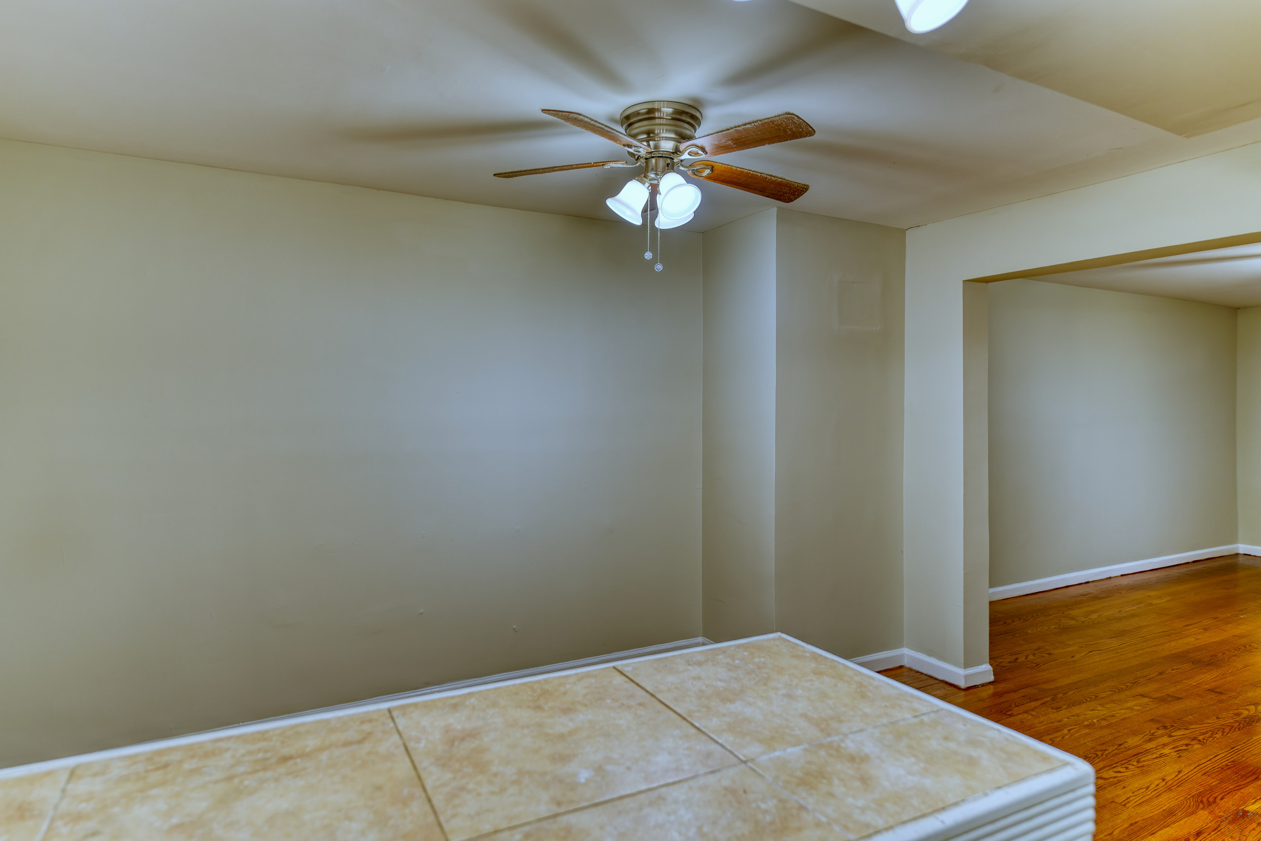 Full Home Renovation