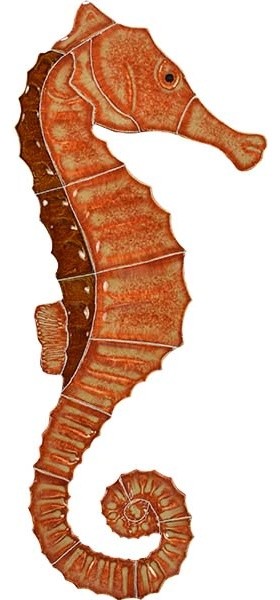 Ceramic Tile Designs Seahorse Brown Small