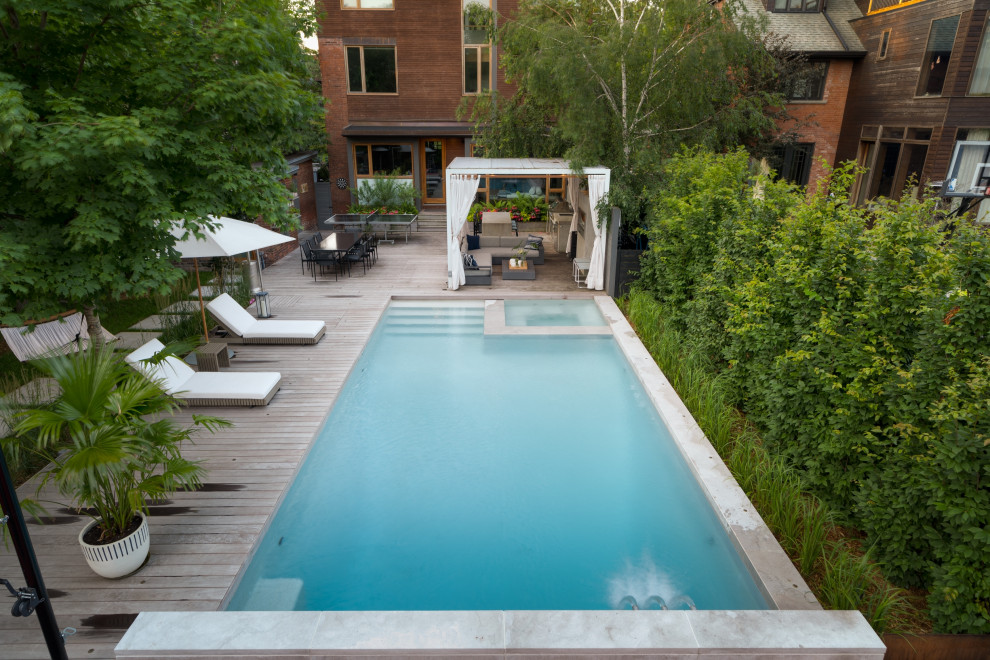 Modelo de piscina urbana de tamaño medio rectangular en patio trasero con paisajismo de piscina y entablado