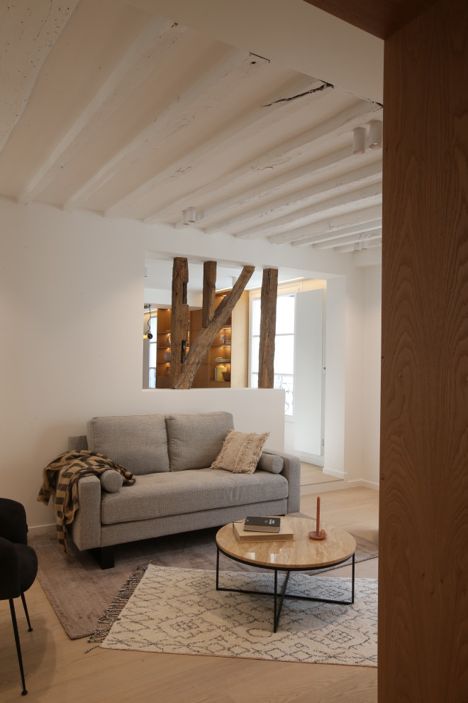 This is an example of a contemporary living room in Paris.