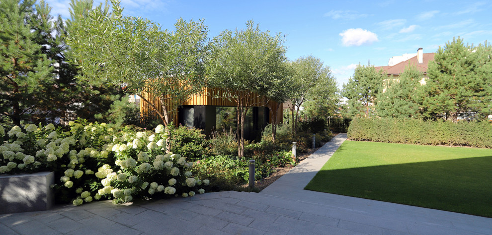 сад в городе