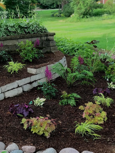 My Shade Garden Designs