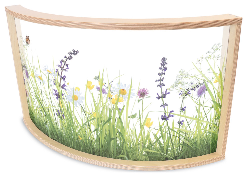 Nature View Curved Divider Panel Contemporary Screens And Room Dividers by VirVentures Houzz
