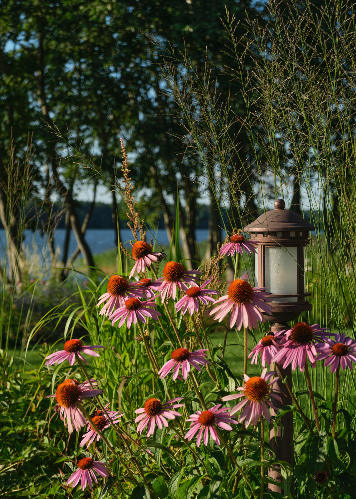 "Сад на Волге" в Тверской области