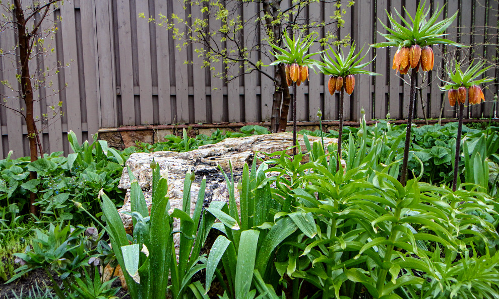 Усадьба на холме