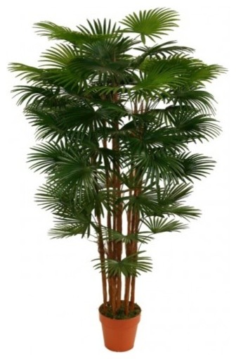 Fortunei Palm 1500 - Artificial Plant
