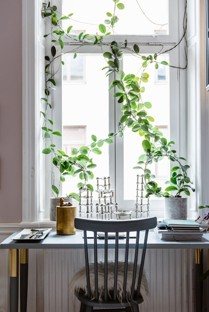 Indret med slyngplanter indendørs i stedet for gardiner