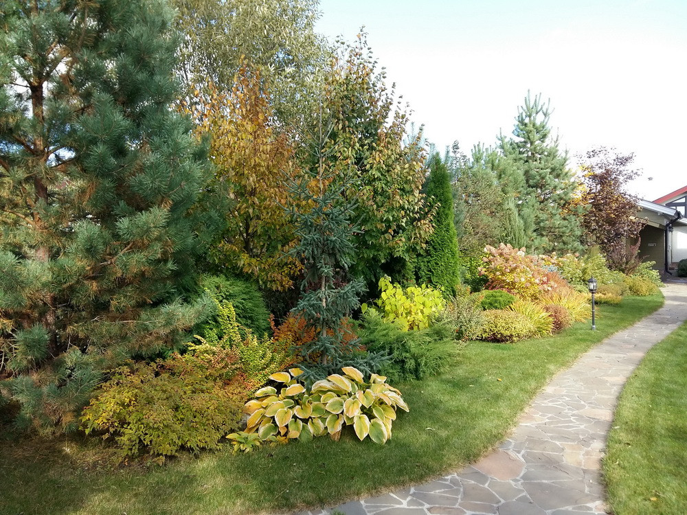 Витро Кантри