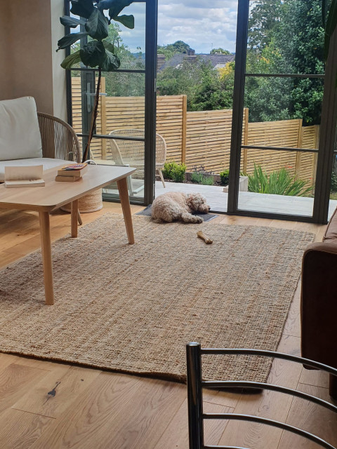 Dormer & Single Storey Rear Extension contemporary-living-room