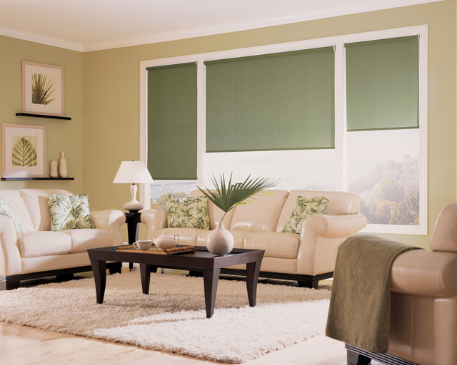 Hunter Douglas Designer Screen Shades and Window Treatments Klassisch Sonstige von Accent