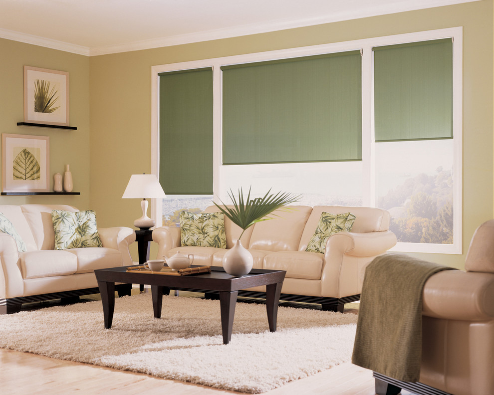 hunter douglas designer screen shade hunter douglas designer screen shade