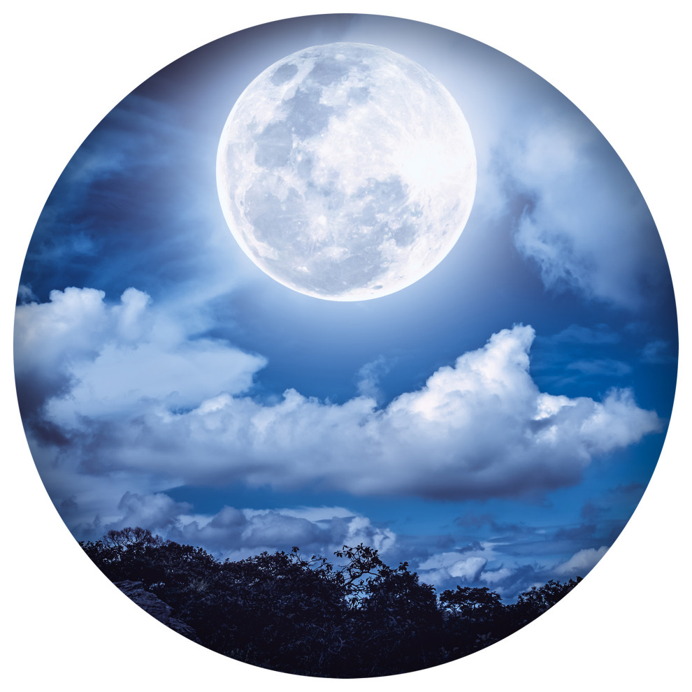 Blue Moon Round Wall Art, 24" Contemporary Metal Wall Art by Next
