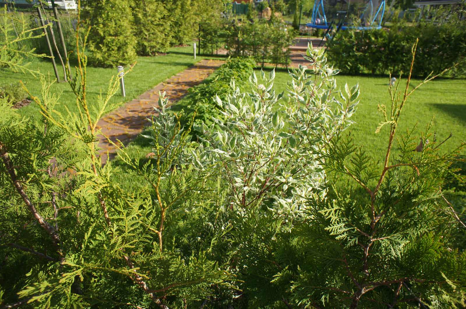 МОРЕСОЛНЦЕ