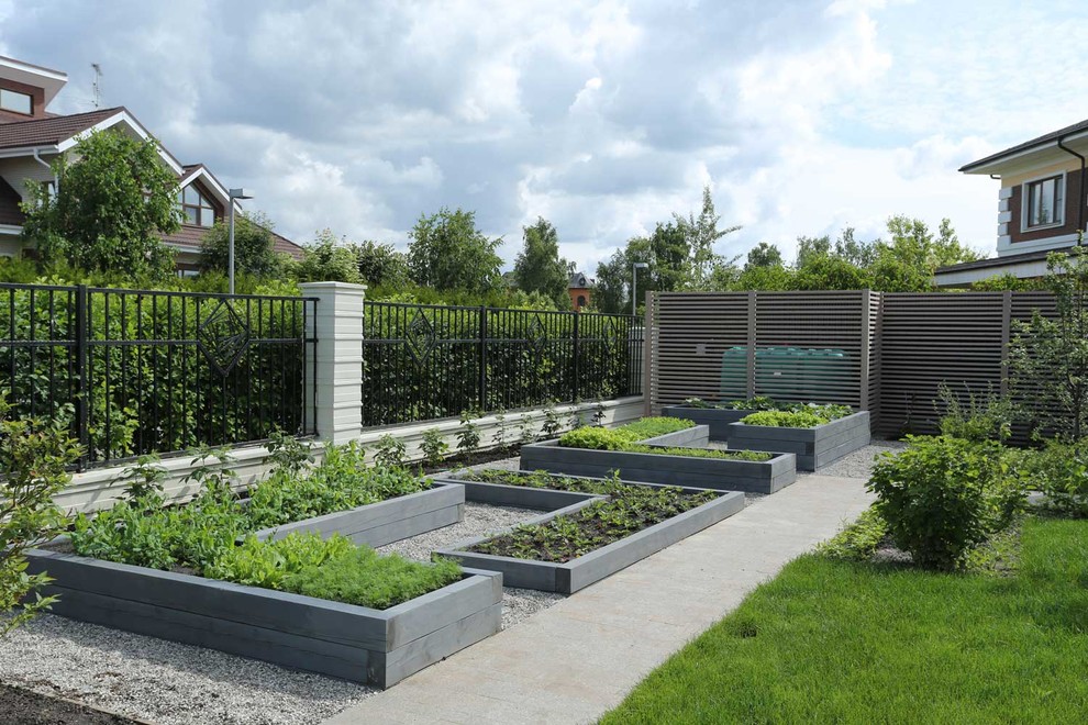 Photo of a mid-sized contemporary full sun garden for summer in Moscow with a vegetable garden and gravel.