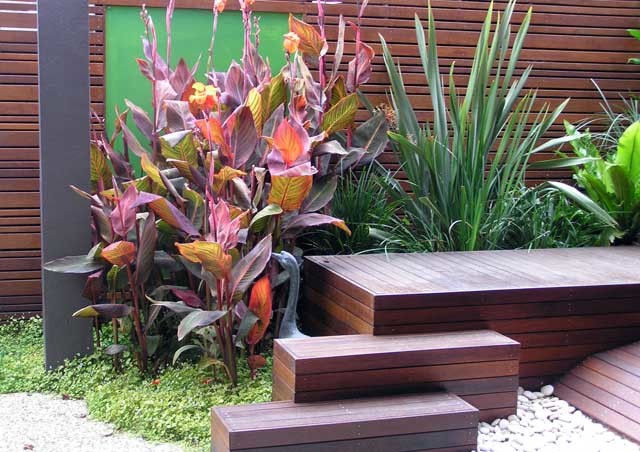 Contemporary garden in Melbourne.