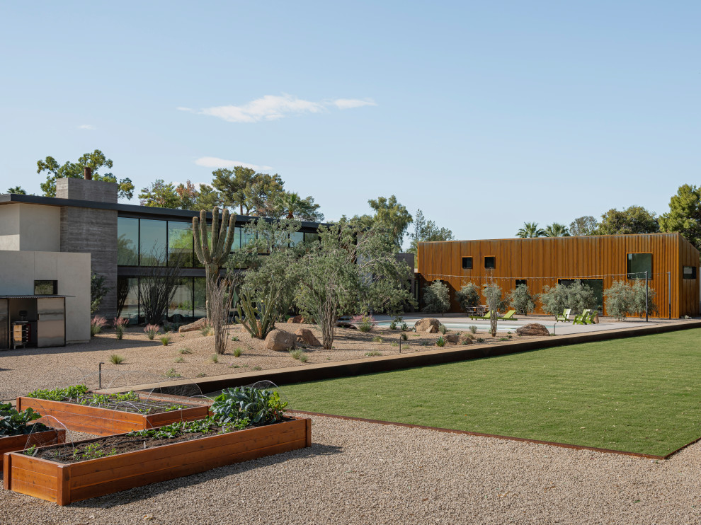 Photo of a modern garden in Phoenix with a vegetable garden and decomposed granite.