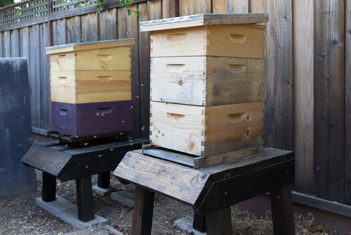Here's a simple setup that can be completed by purchasing individual modular apiary segments. The pieces resemble file cabinet drawers and can be stacked as high as you like, then topped with a roof.