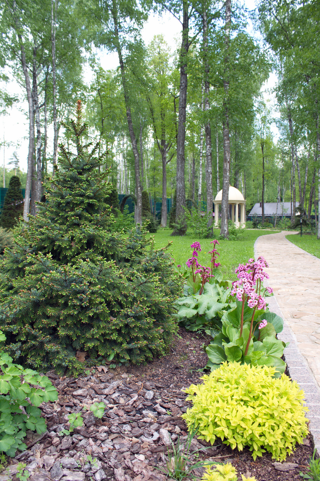 Сад резиденции для большой семьи