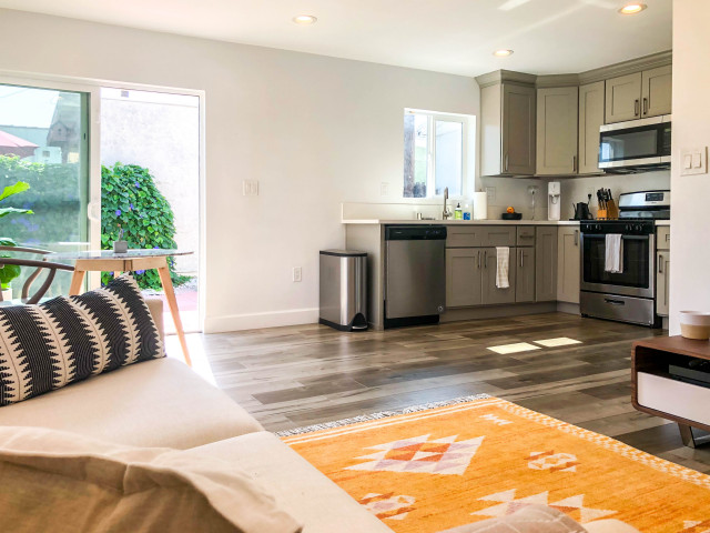 Great Room / Kitchenette, Living & Dining Room and Patio area scandinavian-living-room