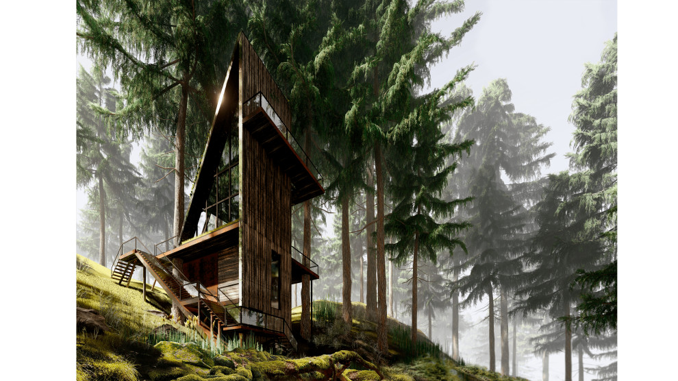 Концептуальный проект "Дом на дереве"