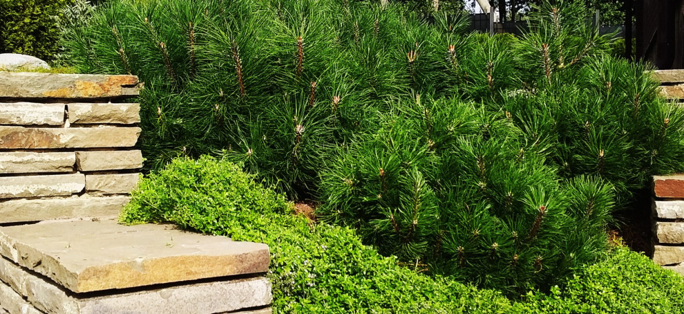 Усадьба на берегу залива