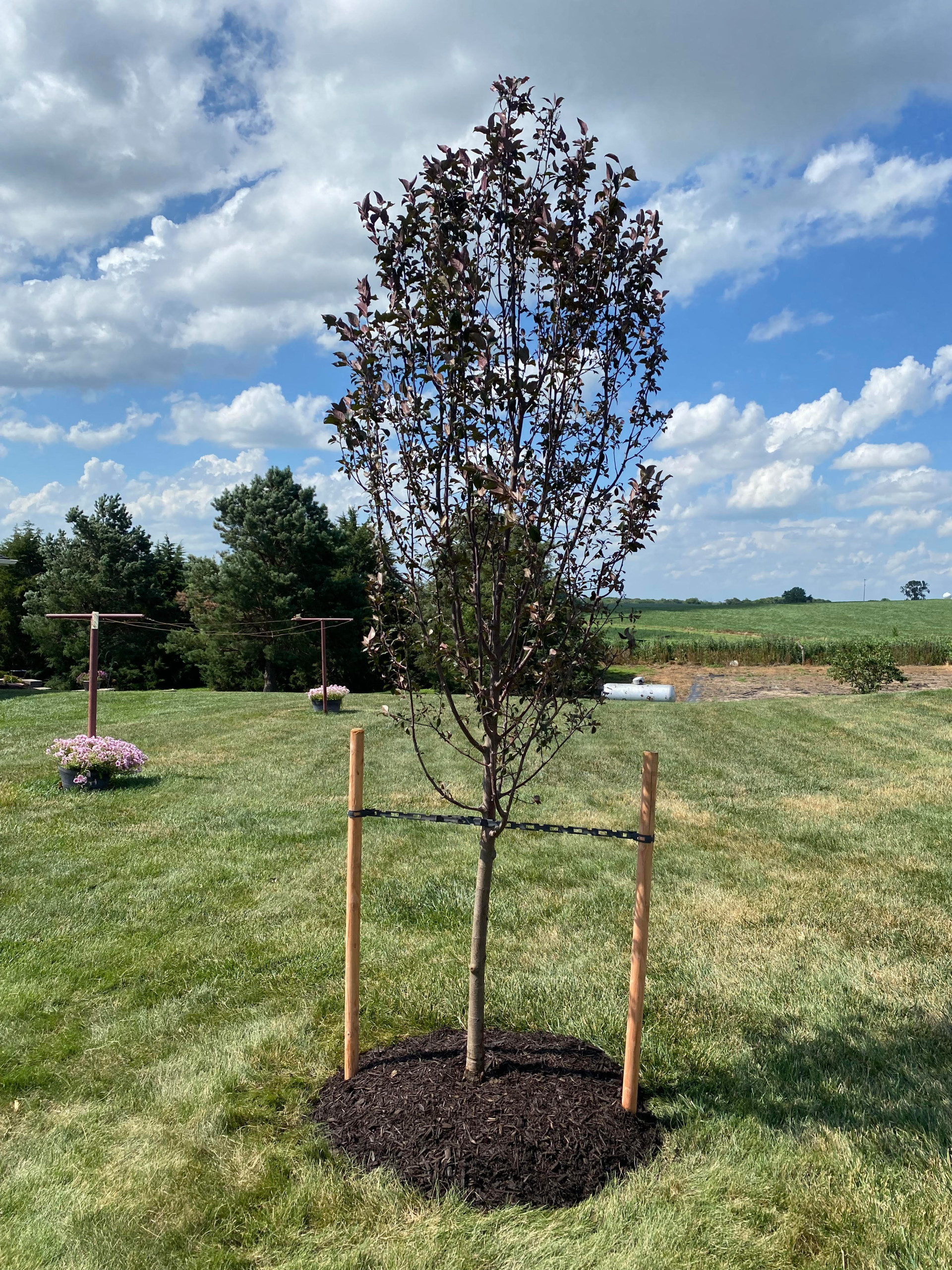 Farm House Mulching