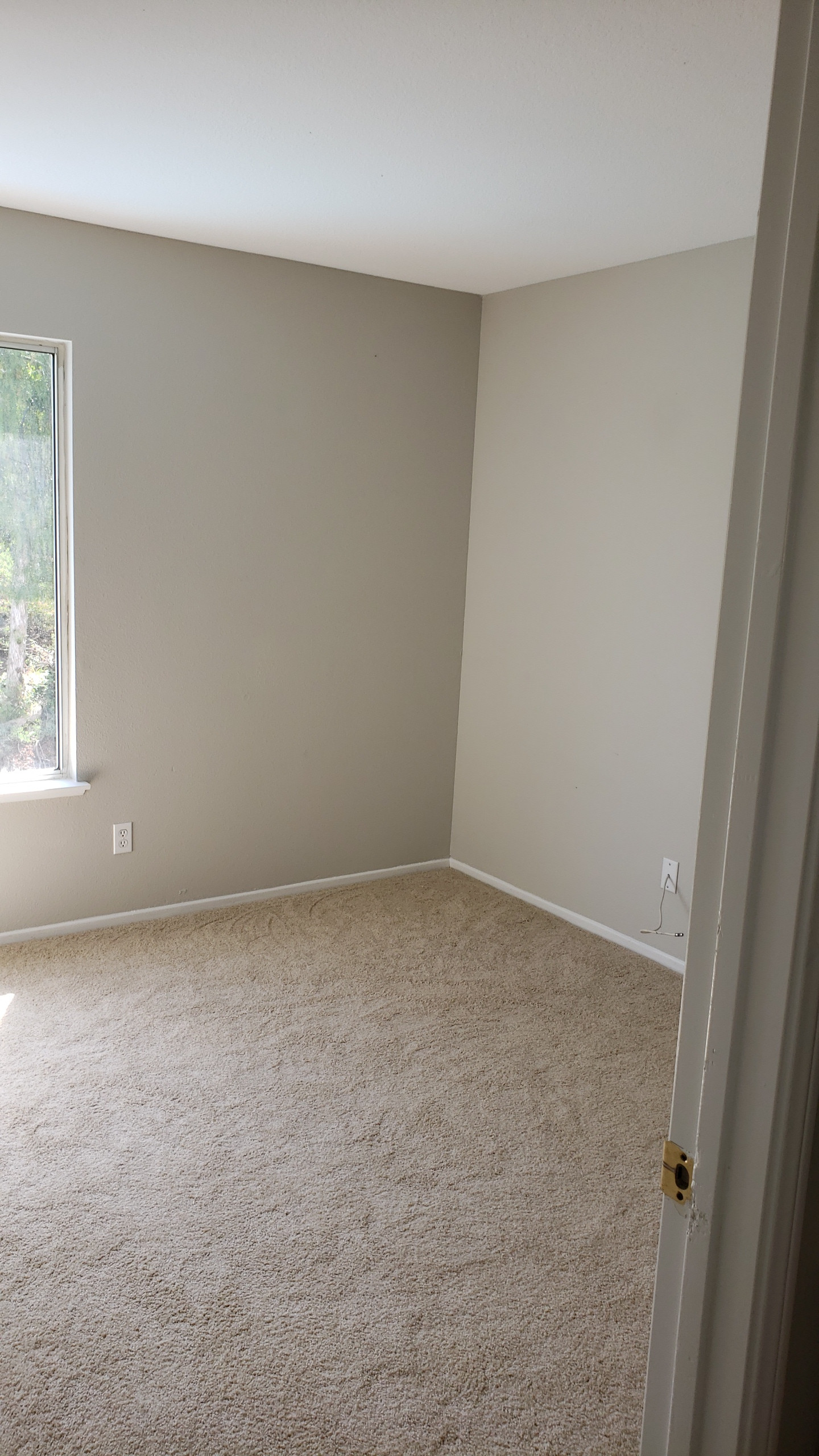Corona Complete Remodel